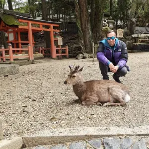 Lavoro pulizie a Villasanta