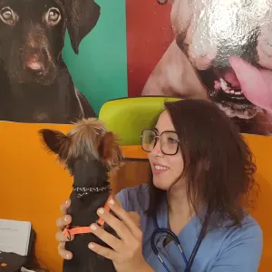 Pet-sitter sur SENS vétérinaire de formation 