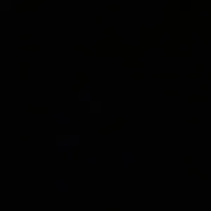 Quero passear cães para ganhar dinheiro para o verão