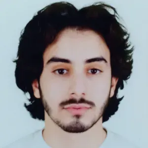 Étudiant en ingénierie propose des cours particuliers