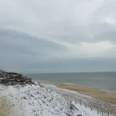 cherche ménage, repassage, jardinage, petits travaux