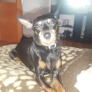 Cuidadora en Guadalajara compasiva