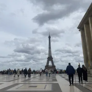 Pet-sitter disponible à Paris 75015 et ses alentours!