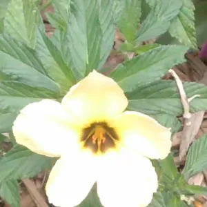 Femme de manage  avec de l'expérience 