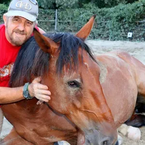 Le paradis des animaux a Tourves