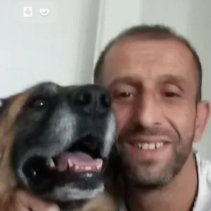 Pet sitter lyon et ces alentours 