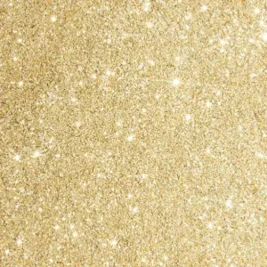 Recherche Petsitter pour balade et donner à manger