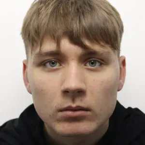 Pet sitting services in Brussels