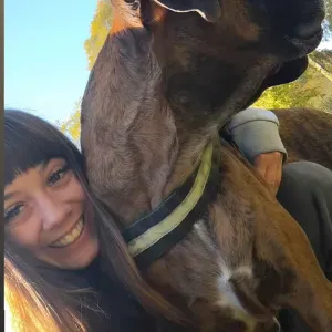 Offro servizio di pet sitting a Brescia 