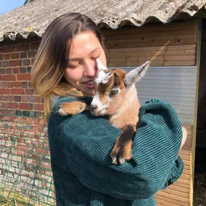 Baby-sitter Amiens et alentours 