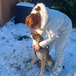 Pet sitter passionner a Allaire 