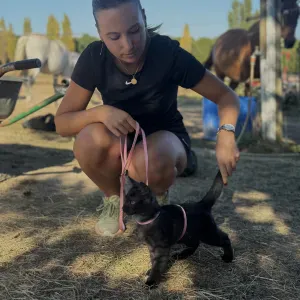 Pet-Sitter disponible à Marseille 