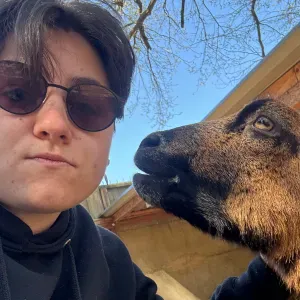 Pet-sitter en Essonne chien et chat 
