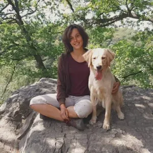 Garde d'animaux/promenade