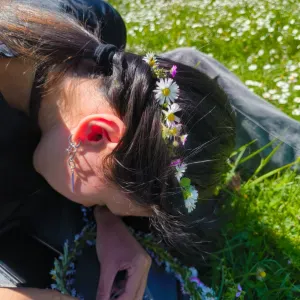 Pet-Sitter près de Gien à domicile