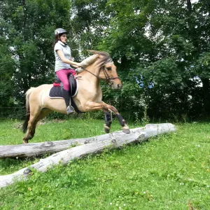 La gardienne des quatre pattes