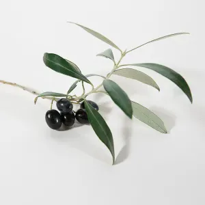 Cherche Aide-soignante / auxiliaire de vie