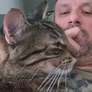 Procuro cuidador para gato - Graça, Lisboa