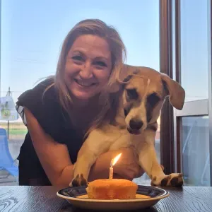 Cerco servizio pulizie e PET sitting a Cameri