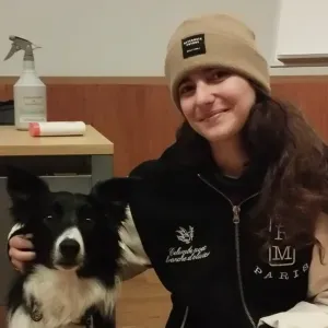 Pet sitting no Porto (Paranhos) 