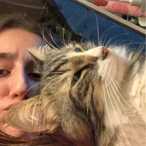 pet sitter à aix en provence