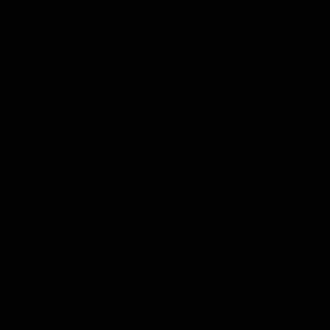 Cuidador de animales por benidorm o alrededores