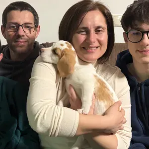 Procuro um pet sitter perto de mim