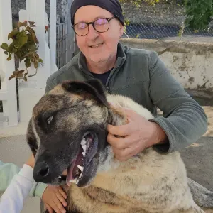 Educador Canino e Petsitter Certificado no Algarve - en,fr