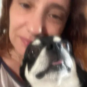 Pet sitting em Samora Correia e Benavente