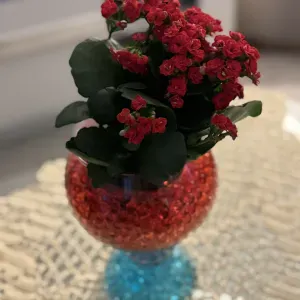 Aide à domicile, employé de maison 