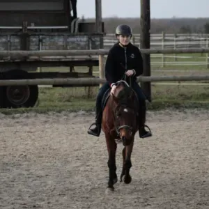 Pet sitter à la Ferté Macé (Orne)