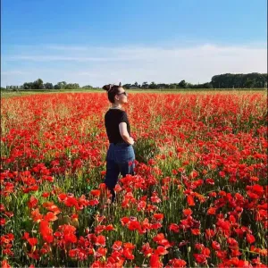 Dog/pet sitter e aiuto compiti a Mestre