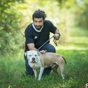 Pet-Sitter et soins d'animaux à Angoulême