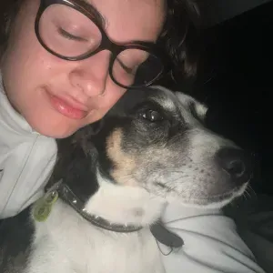 Amor y cuidado para tu mascota en Sant boi y alrededores