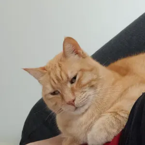 Pet sitter a Clermont-Ferrand, motivée et enthousiaste !