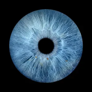 Emploi d'aide ménagère Kayl