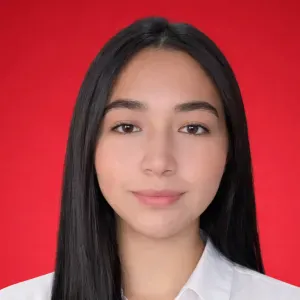 Limpieza de casas en Madrid – seria y de confianza