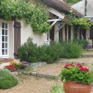 entretien ménage, repassage, carreaux