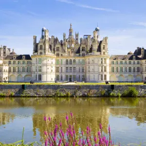 Etudiant disponible sur Saumur et aux alentours