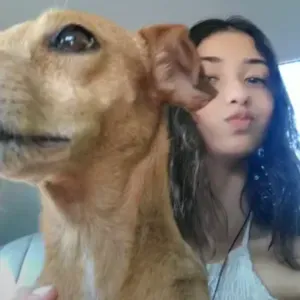 Pet sitting em vila franca de Xira 