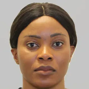 Agent d'entretien multiservices