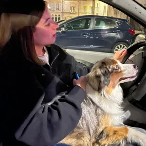 pet-sitter sur dole. 