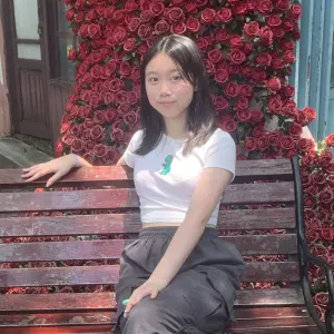 Remote/In Home language tutor in Luxembourg