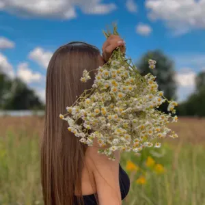 Pet sitting em Ferragudo/Portimão 