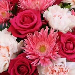 Femme de ménage sérieuse 