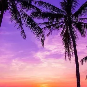 Cuidadora des niños y des personas mayores 