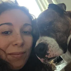 Dog Sitter des chiens sensibles