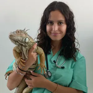 Pet sitting em Lisboa (linha de Sintra / Odivelas