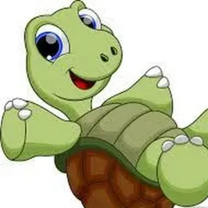 Docente per ripetizioni varie discipline 