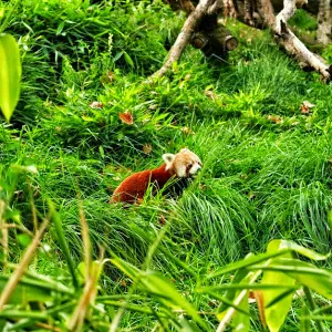 Recherche assistant(e) maternel(le) - garde d'enfants à ...